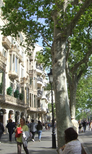 Passeig de Grà