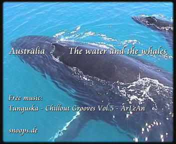 The water and the whales