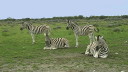etosha007