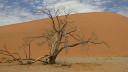 sossusvlei004