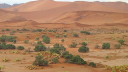 sossusvlei010