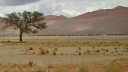 sossusvlei013